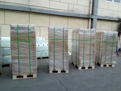 Pre-Prepared Thermal CTP Plate Processing Chemistry Developer