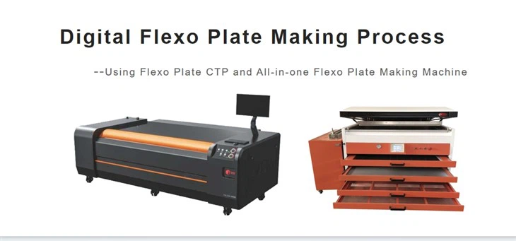 Digital computer to flexo plate imaging system